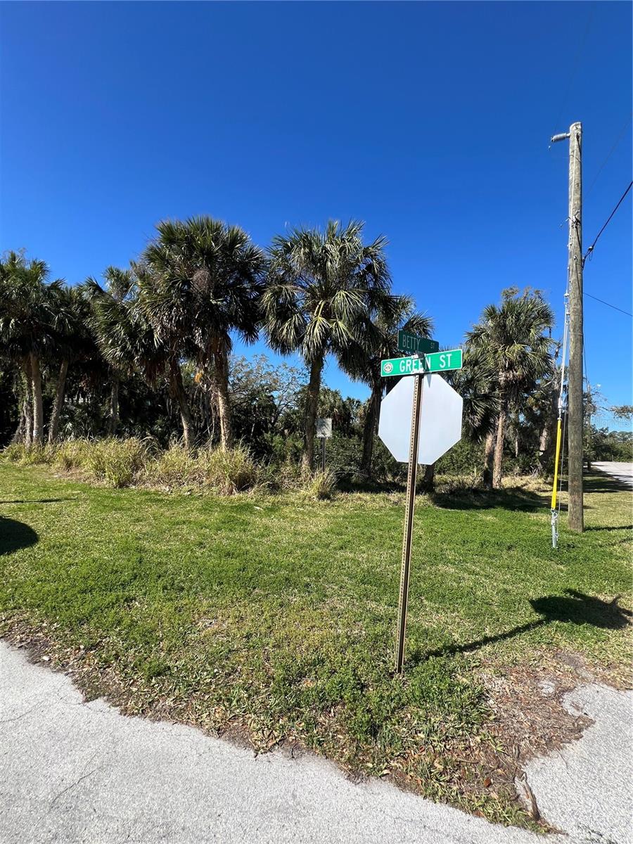 BETTY STREET, PORT RICHEY, FL, 34668