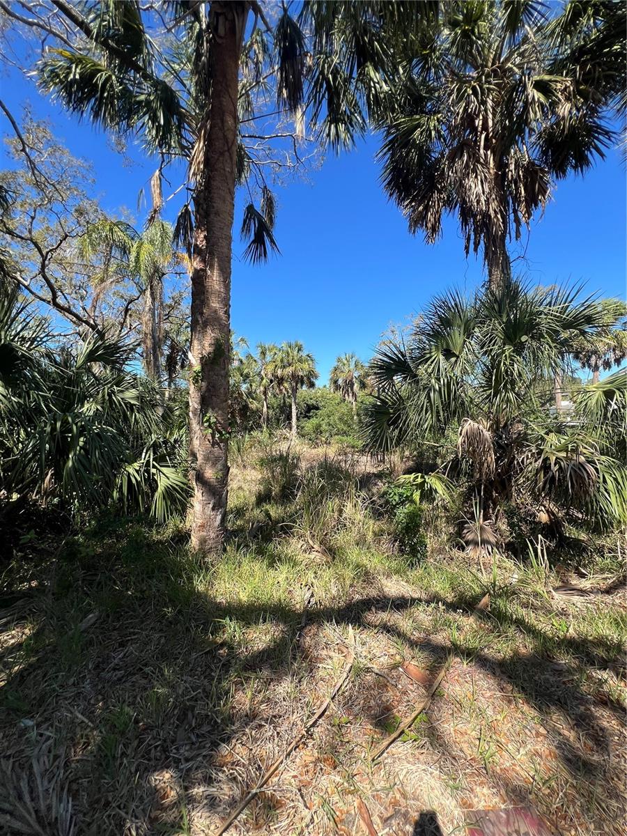 BETTY STREET, PORT RICHEY, FL, 34668