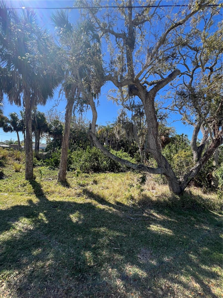 BETTY STREET, PORT RICHEY, FL, 34668