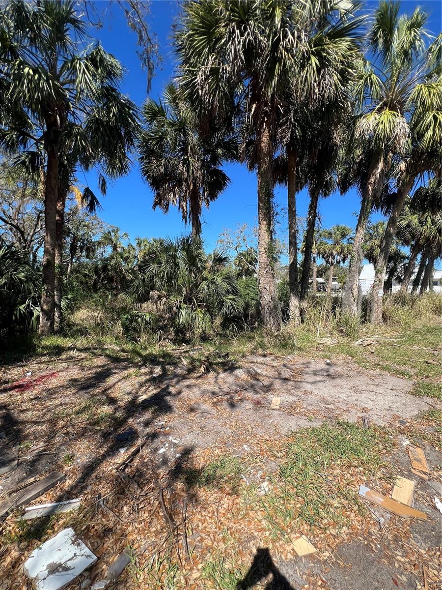 BETTY STREET, PORT RICHEY, FL, 34668