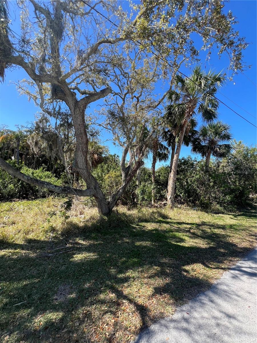BETTY STREET, PORT RICHEY, FL, 34668