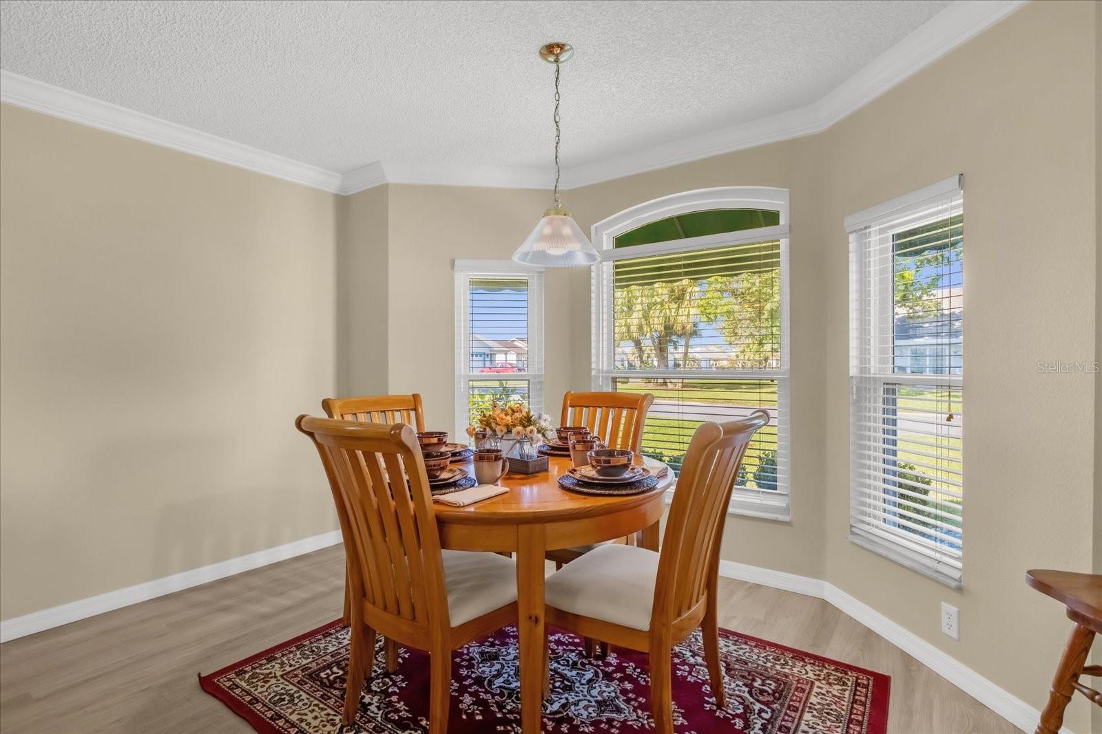 733 PALMA DR, THE VILLAGES, FL, 32159