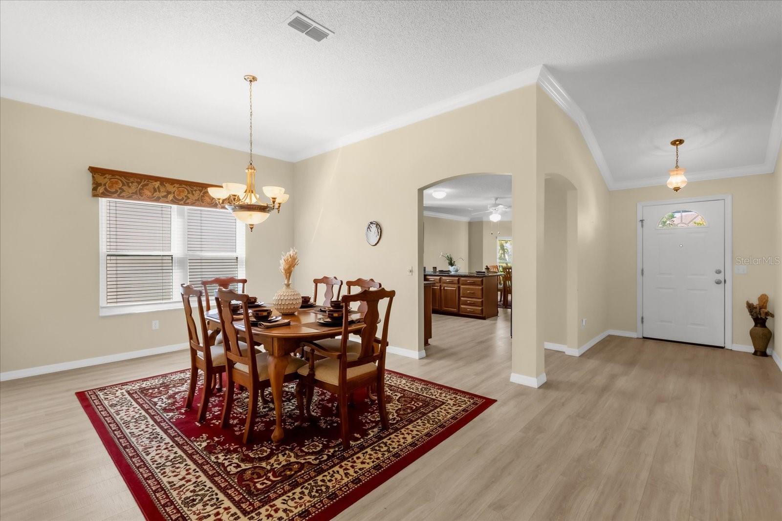 733 PALMA DR, THE VILLAGES, FL, 32159