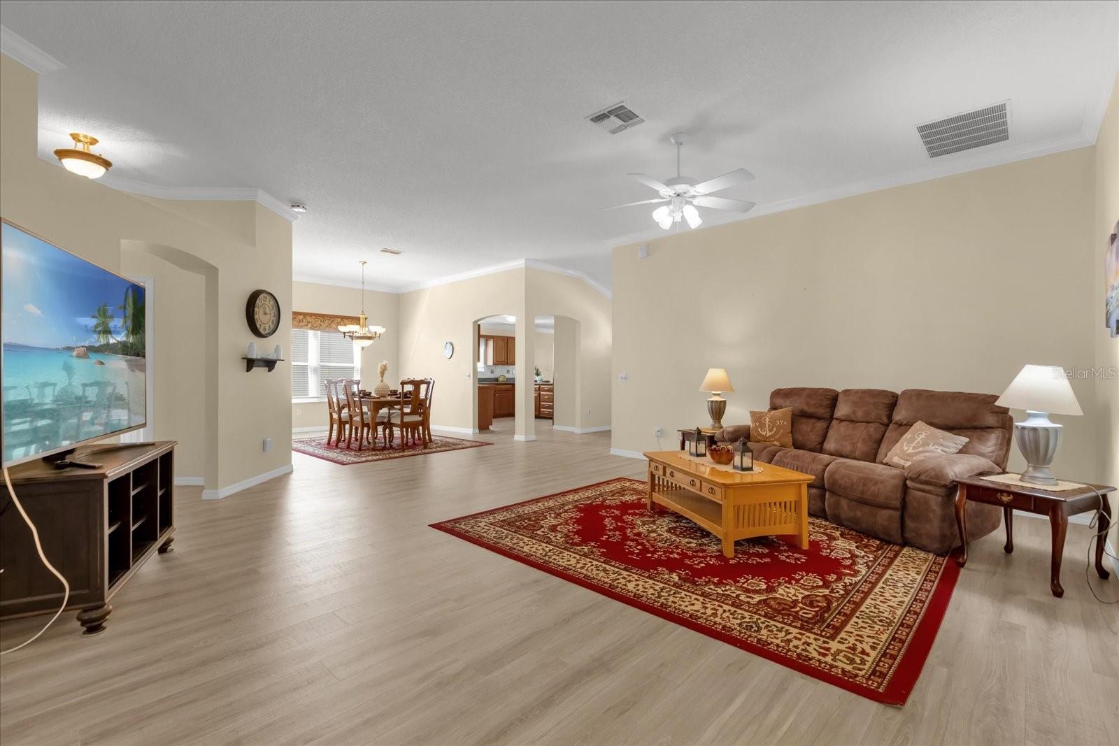 733 PALMA DR, THE VILLAGES, FL, 32159