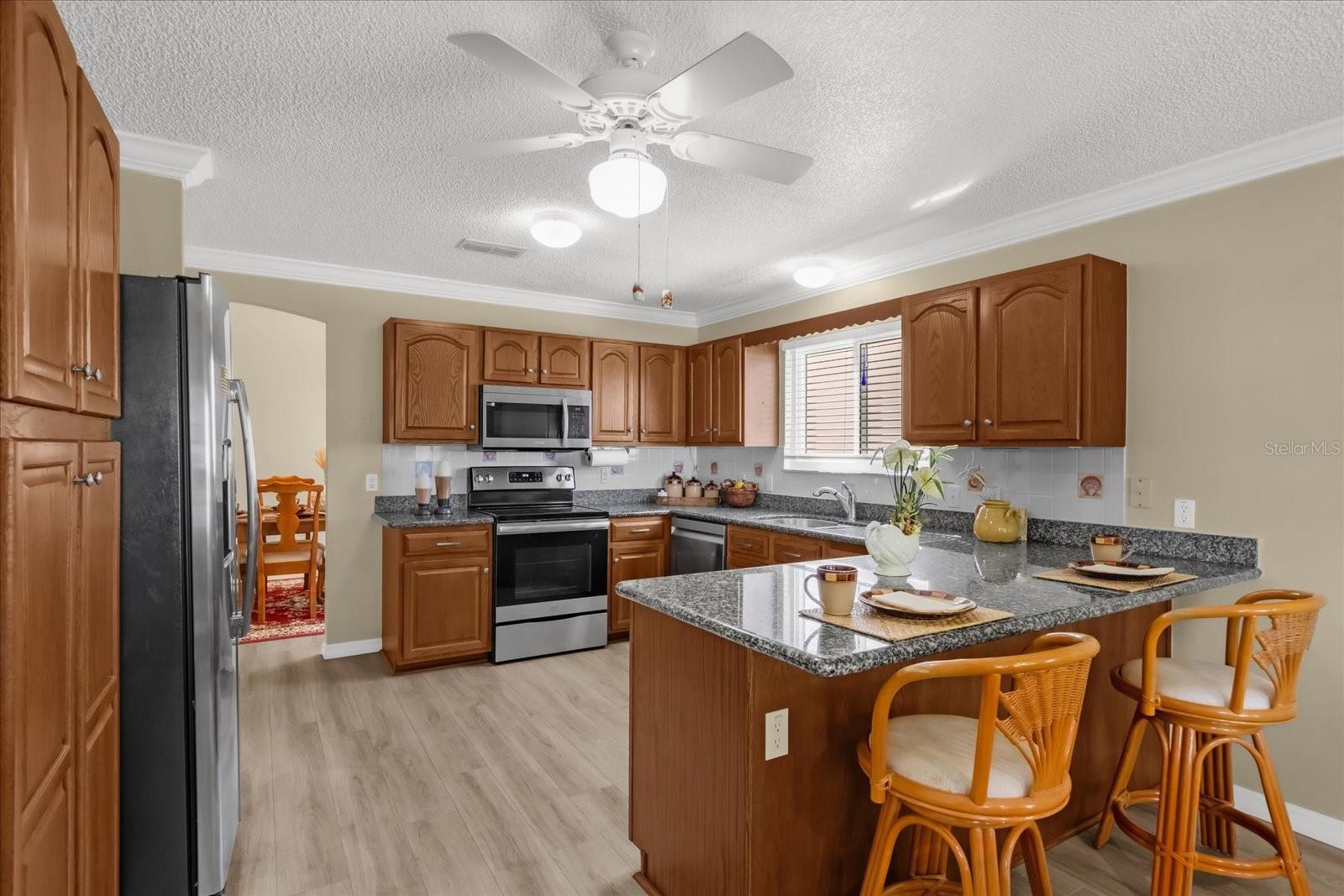 733 PALMA DR, THE VILLAGES, FL, 32159