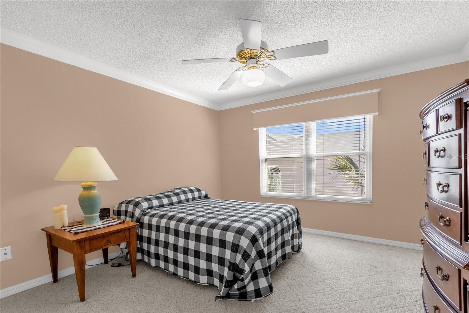 733 PALMA DR, THE VILLAGES, FL, 32159