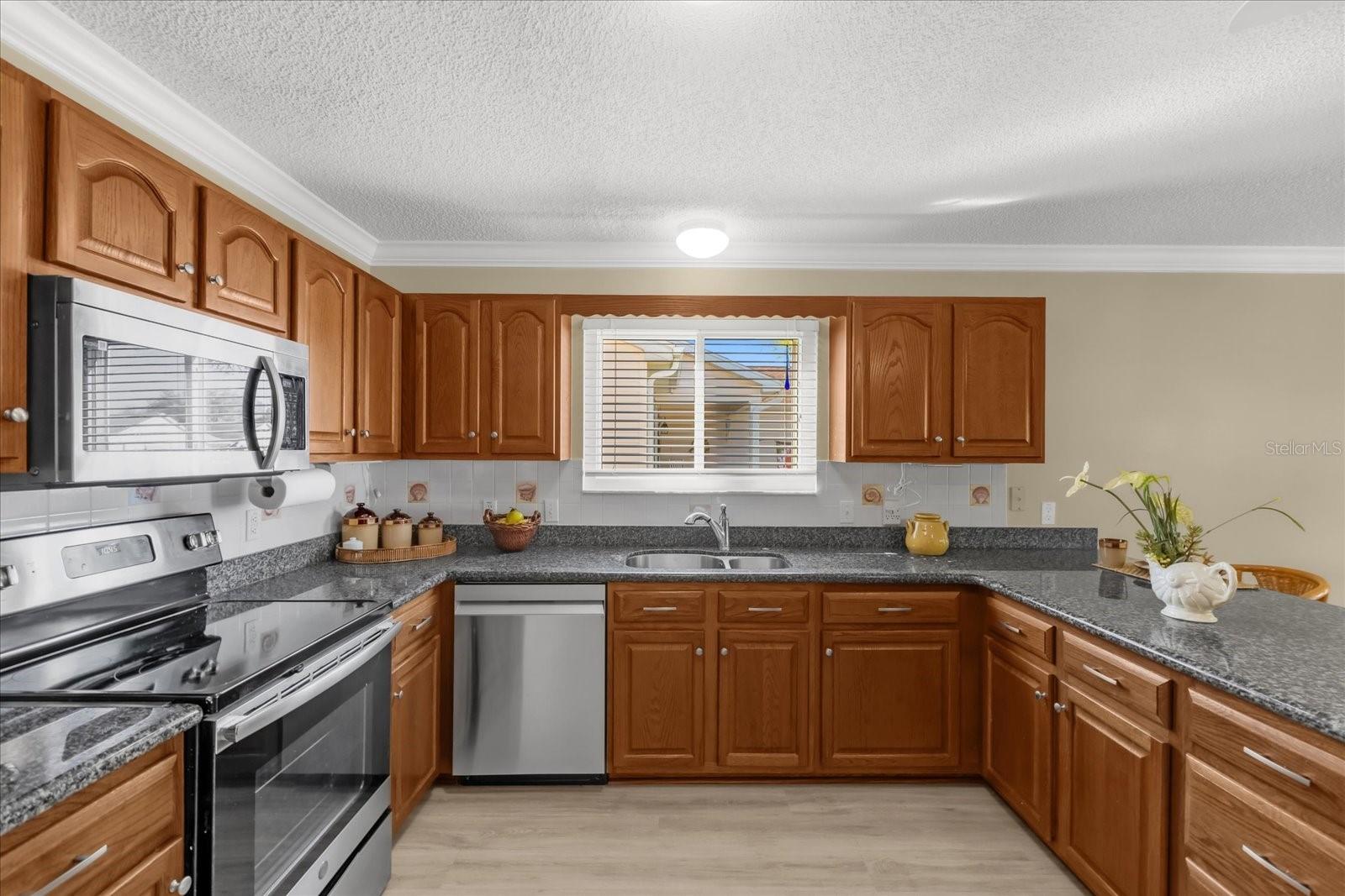 733 PALMA DR, THE VILLAGES, FL, 32159