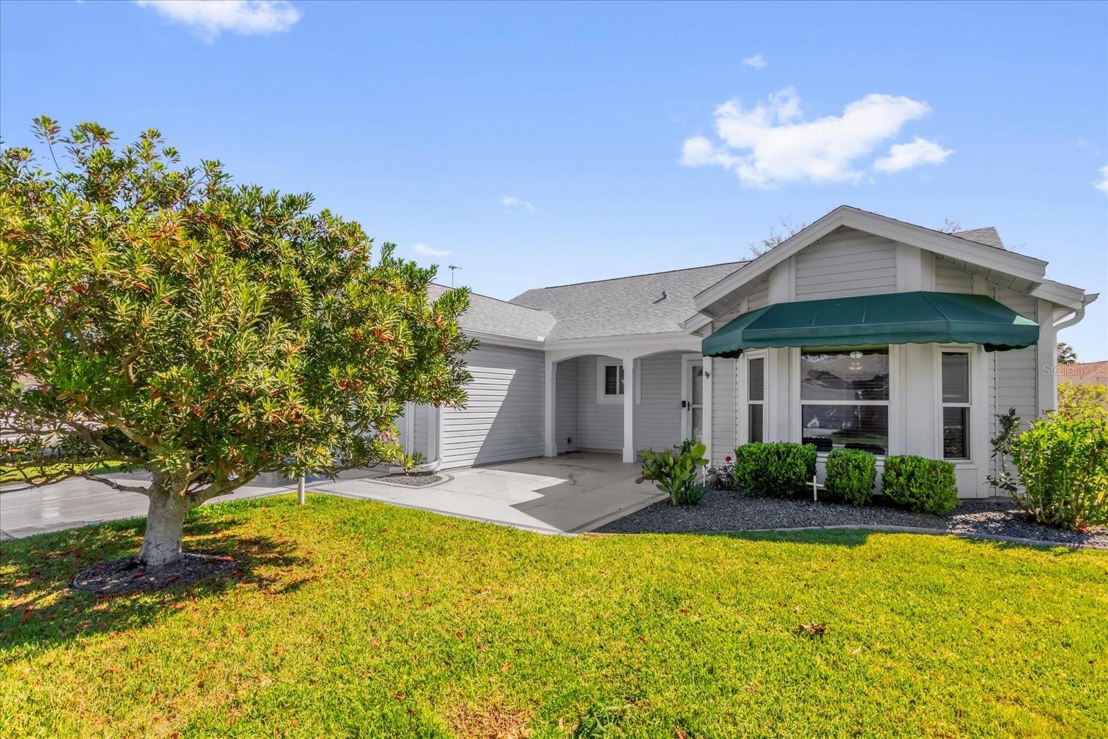 733 PALMA DR, THE VILLAGES, FL, 32159