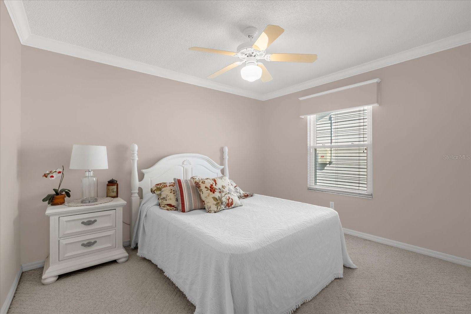 733 PALMA DR, THE VILLAGES, FL, 32159