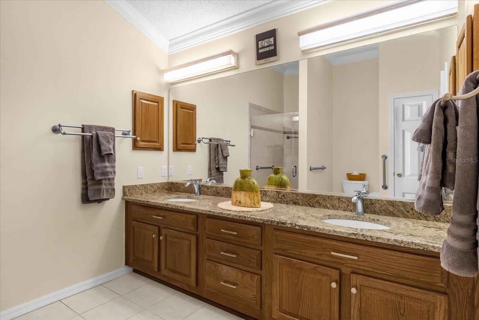 733 PALMA DR, THE VILLAGES, FL, 32159