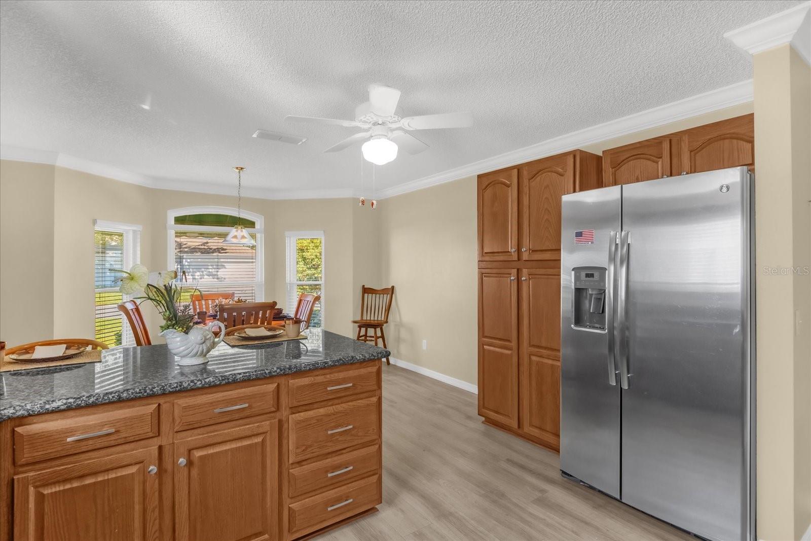 733 PALMA DR, THE VILLAGES, FL, 32159