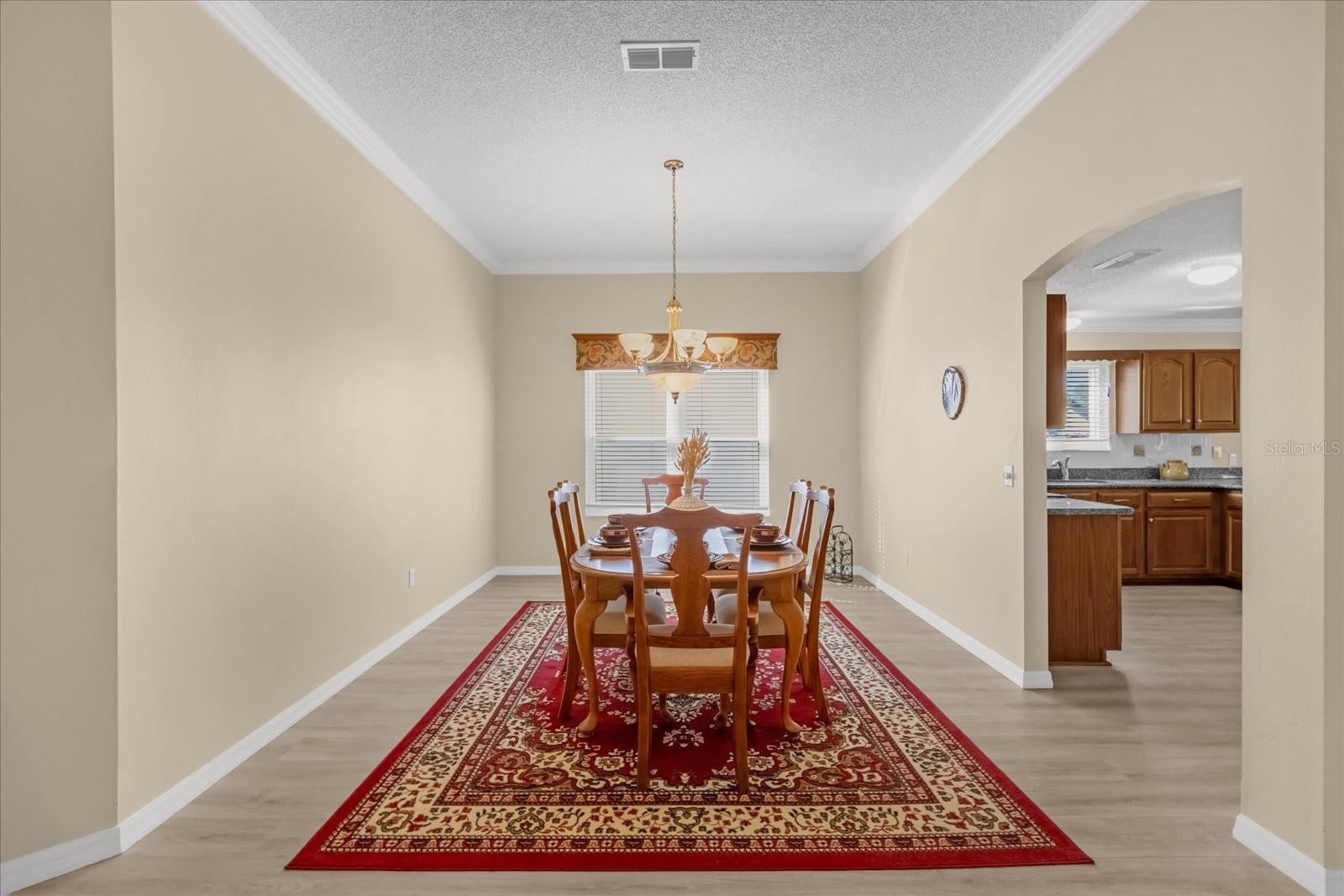 733 PALMA DR, THE VILLAGES, FL, 32159