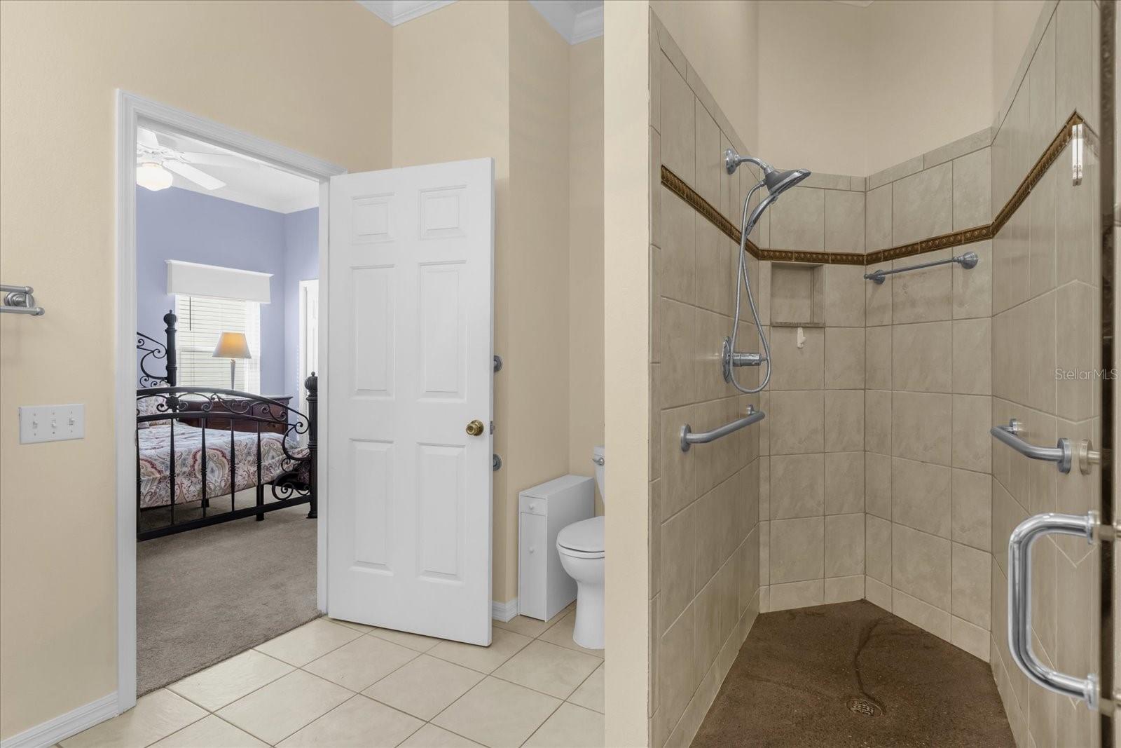 733 PALMA DR, THE VILLAGES, FL, 32159