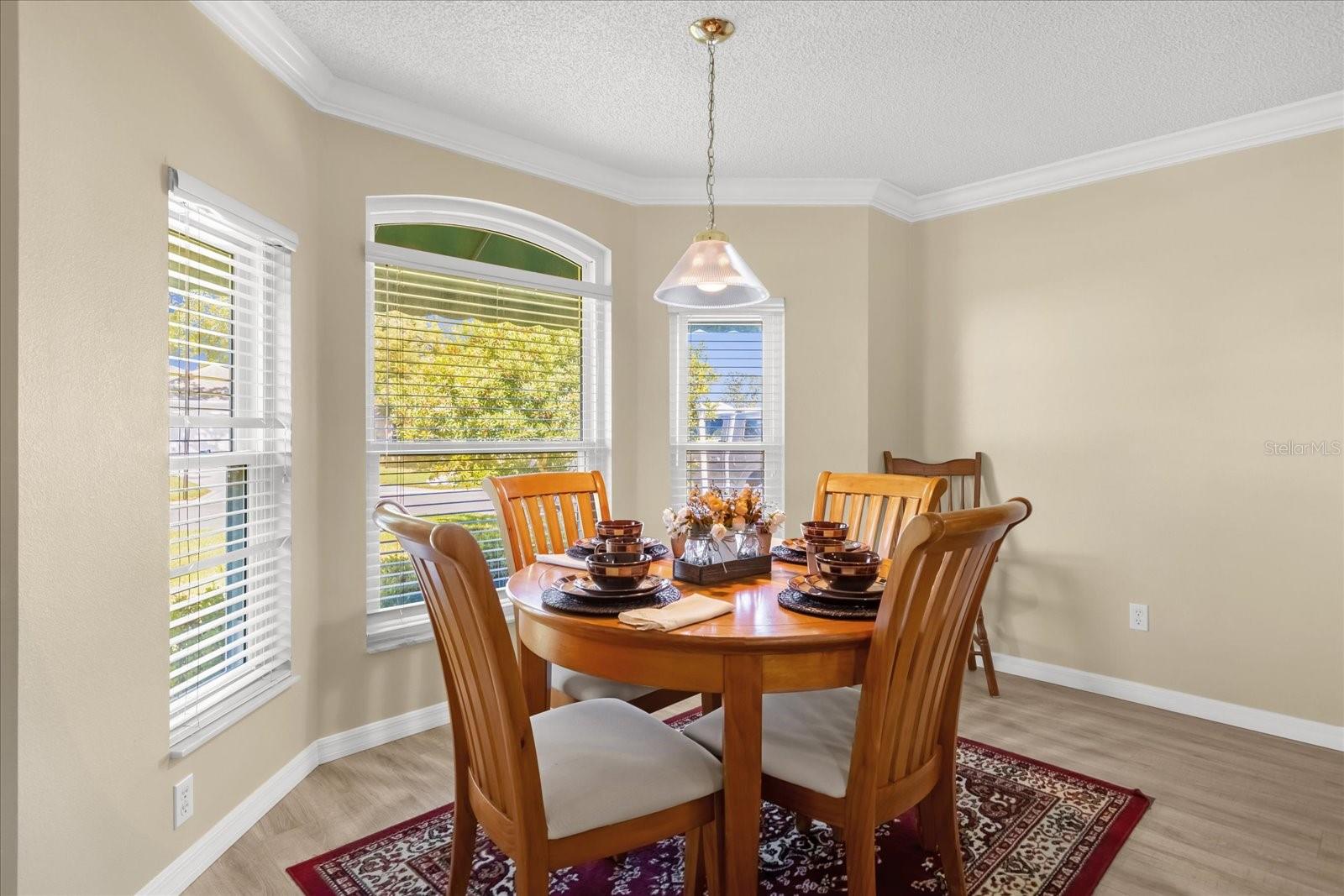 733 PALMA DR, THE VILLAGES, FL, 32159