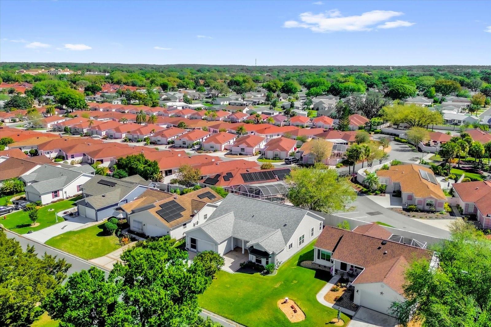 733 PALMA DR, THE VILLAGES, FL, 32159