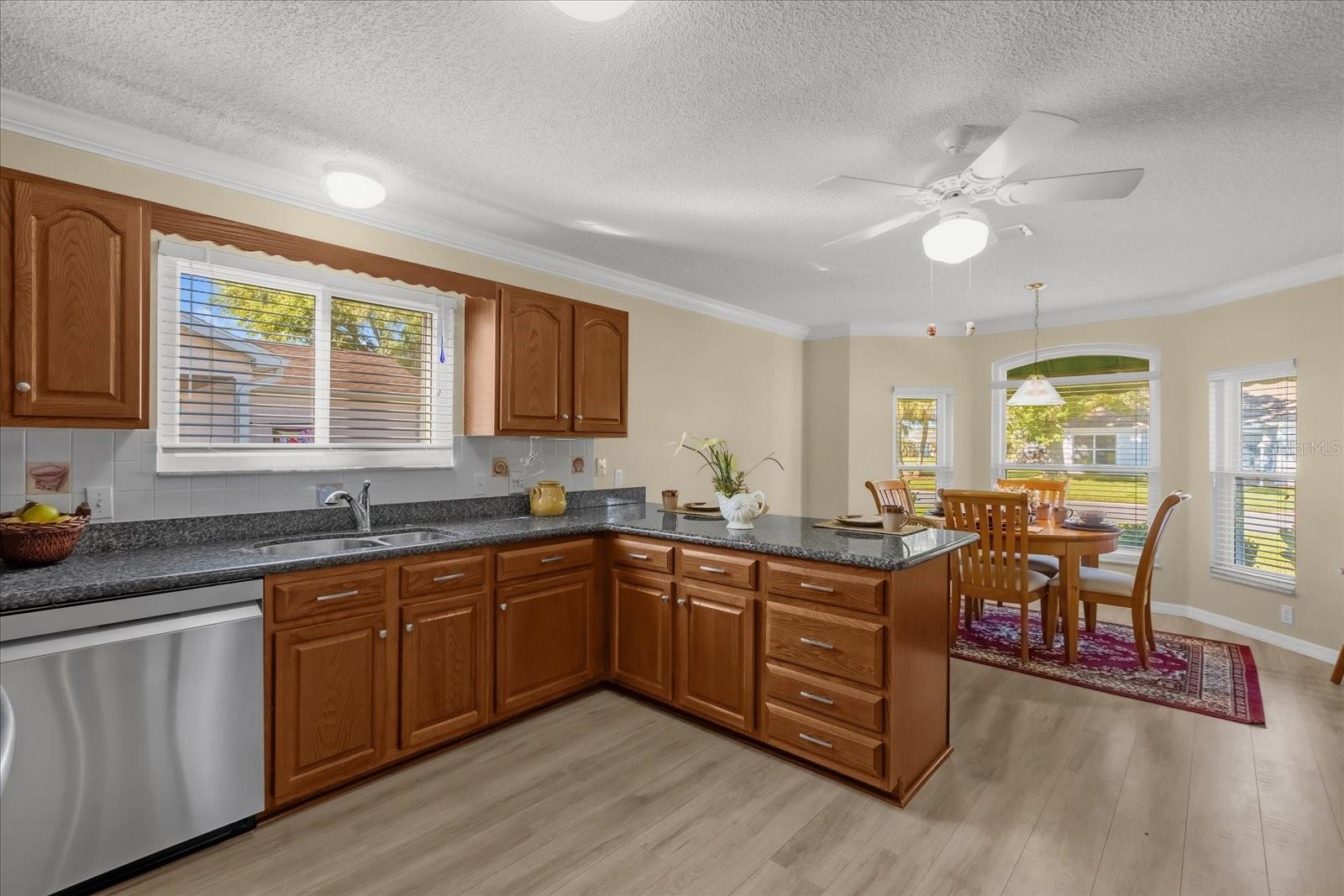 733 PALMA DR, THE VILLAGES, FL, 32159