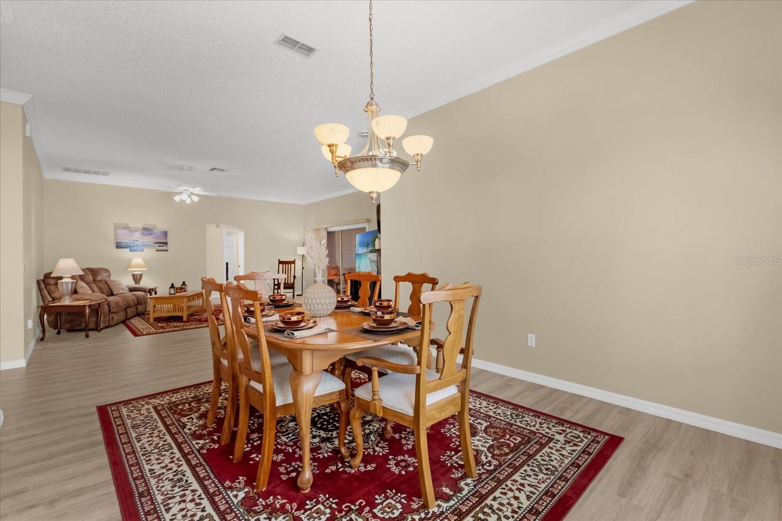 733 PALMA DR, THE VILLAGES, FL, 32159