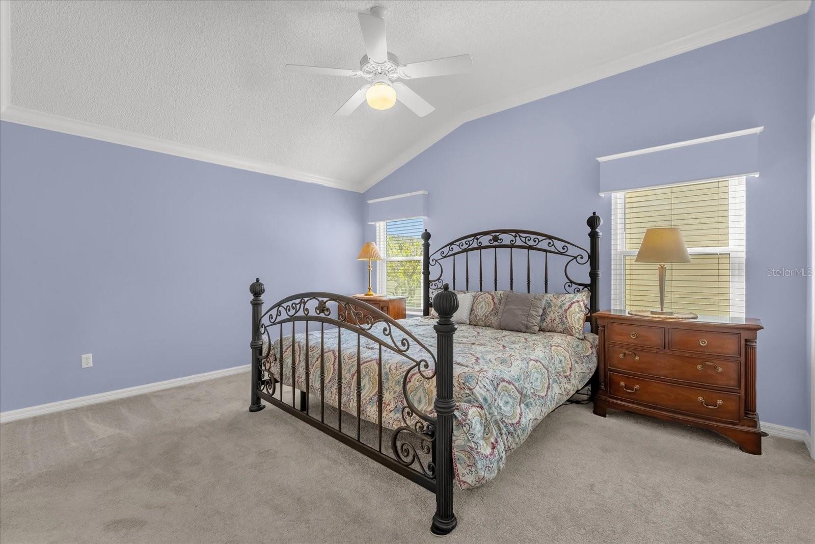 733 PALMA DR, THE VILLAGES, FL, 32159