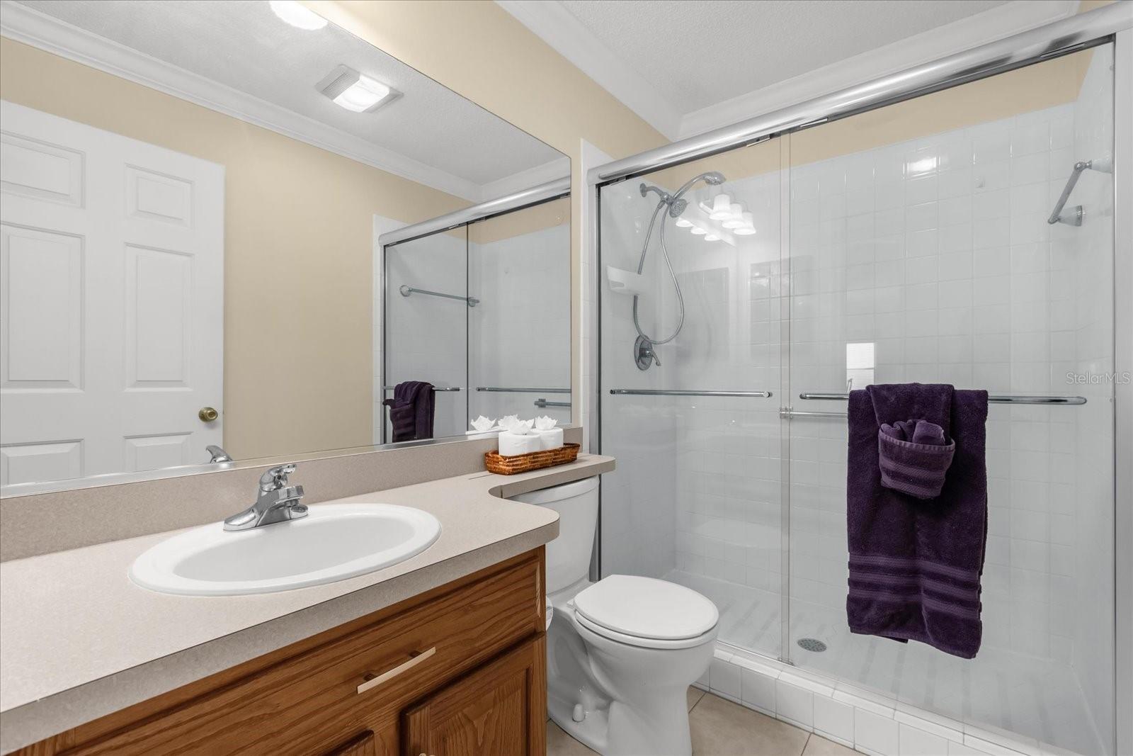 733 PALMA DR, THE VILLAGES, FL, 32159