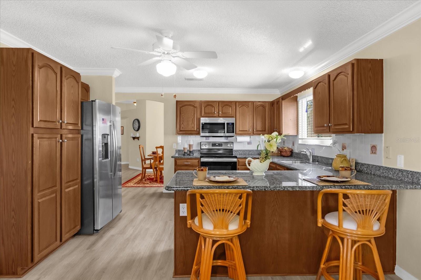733 PALMA DR, THE VILLAGES, FL, 32159