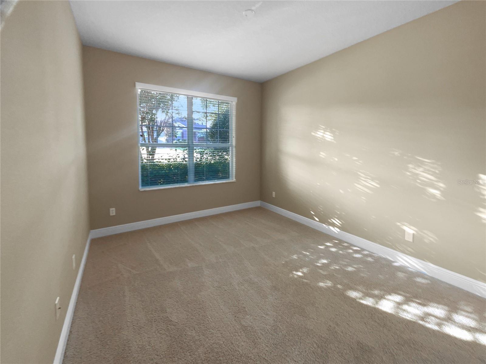 30411 GIDRAN TER, MOUNT DORA, FL, 32757