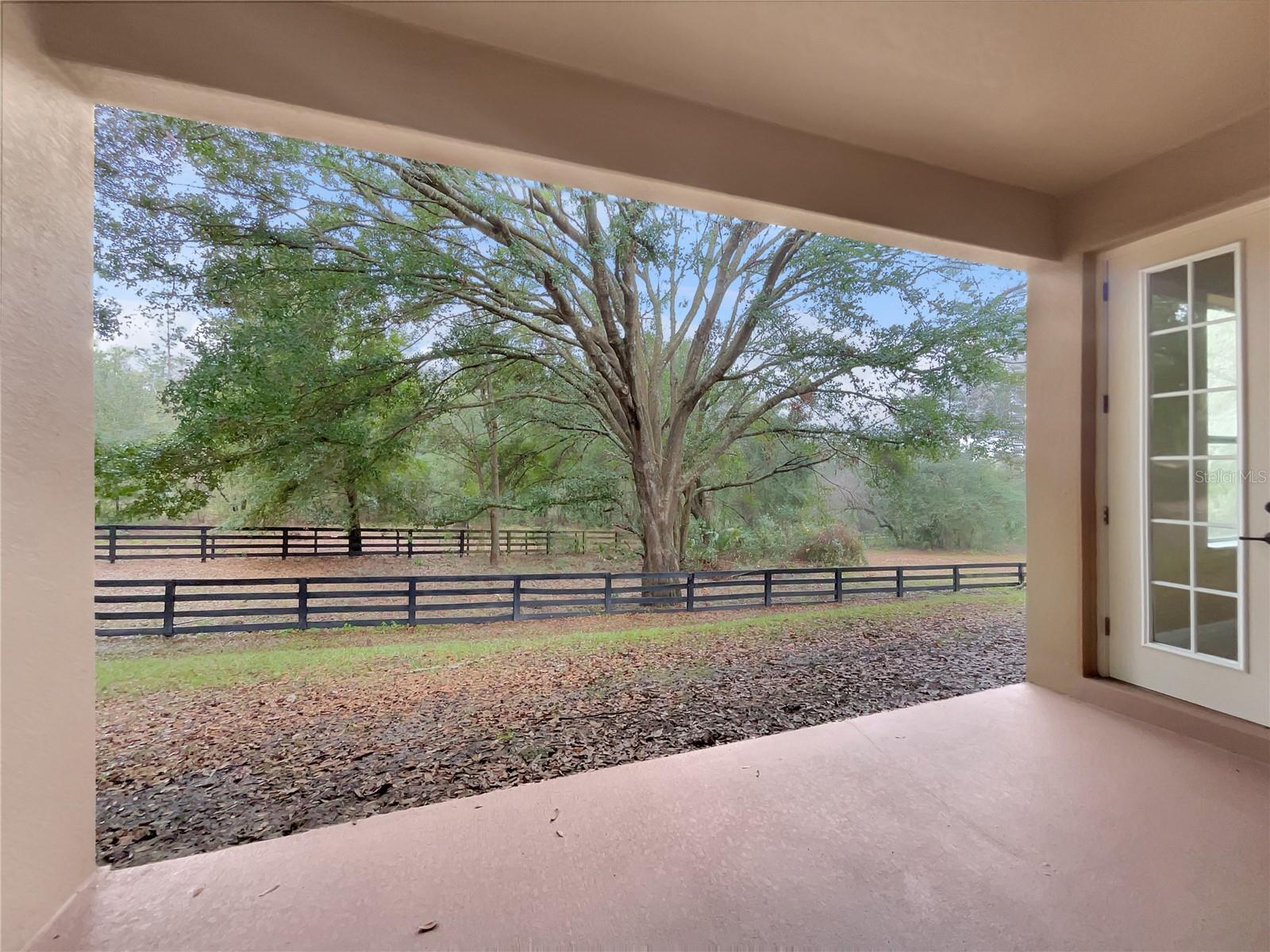 30411 GIDRAN TER, MOUNT DORA, FL, 32757