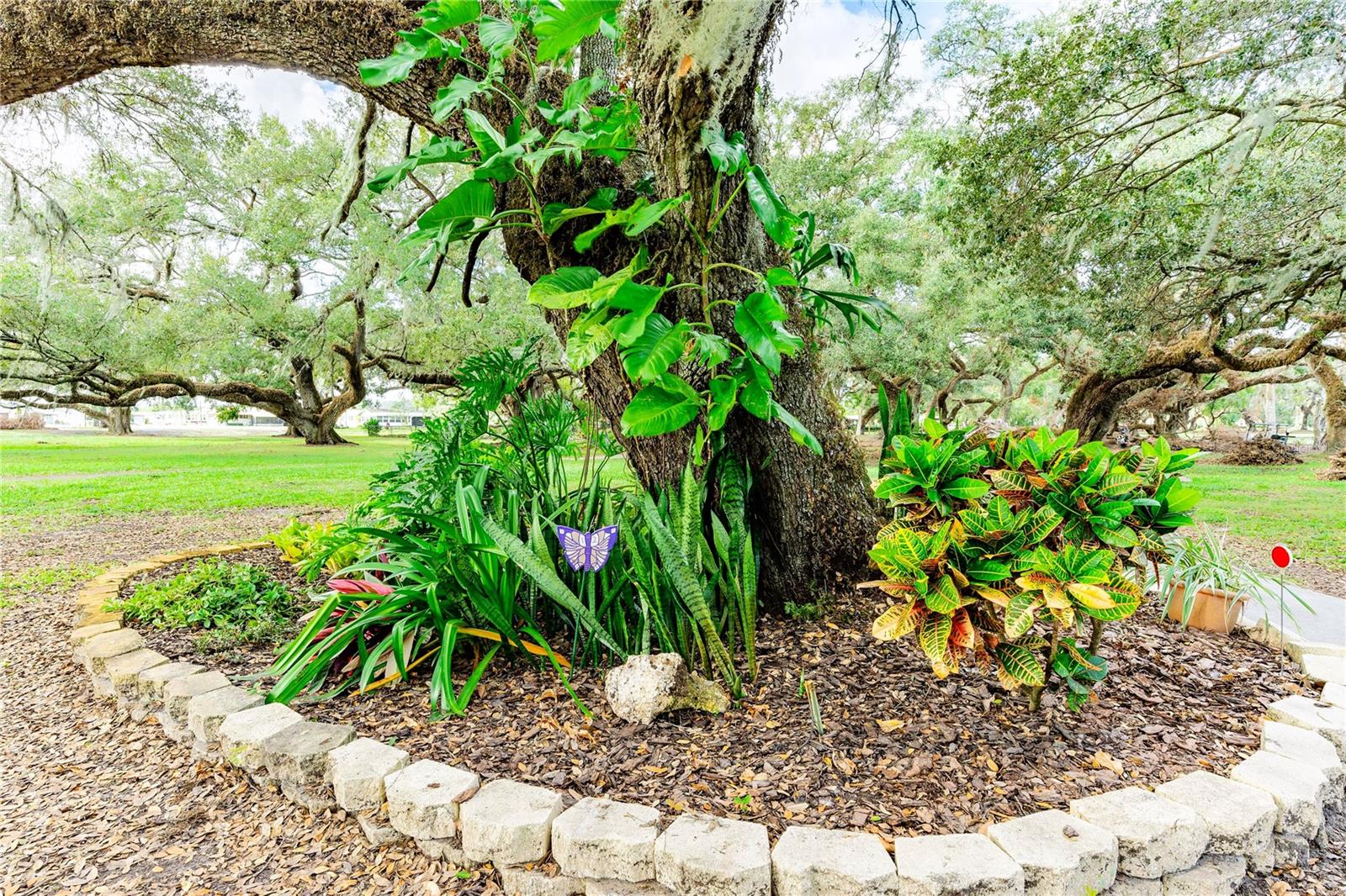 5306 MARY ST, ZEPHYRHILLS, FL, 33542