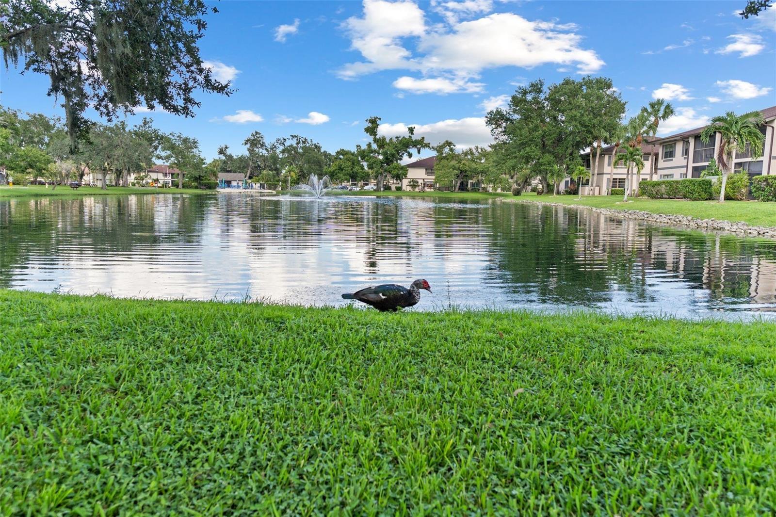 19505 QUESADA AVE #JJ102, PORT CHARLOTTE, FL, 33948