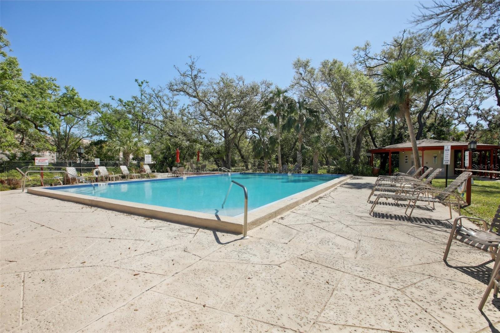 2699 SEVILLE BLVD #805, CLEARWATER, FL, 33764