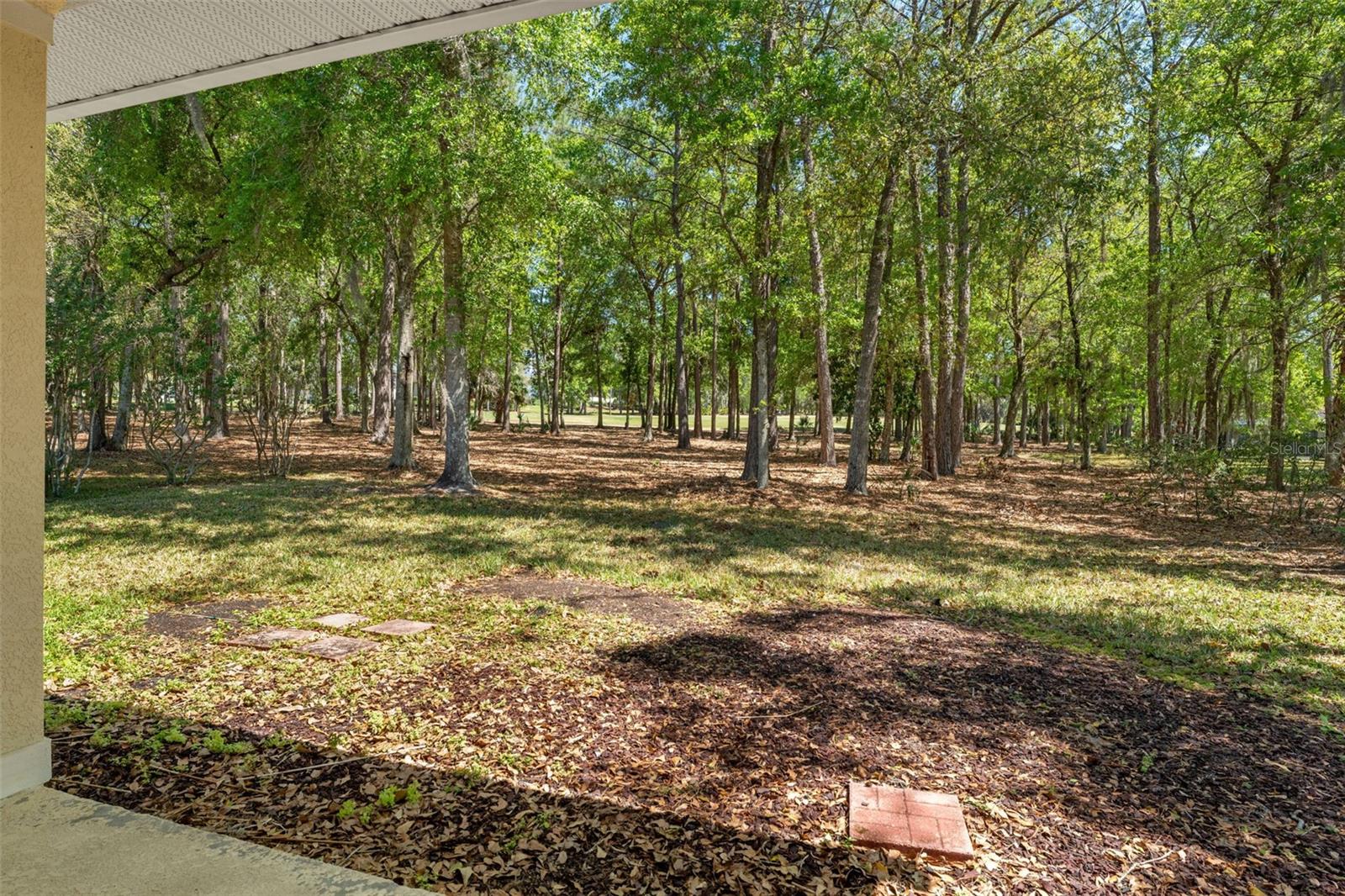 5748 SUMMIT VIEW DR, BROOKSVILLE, FL, 34601