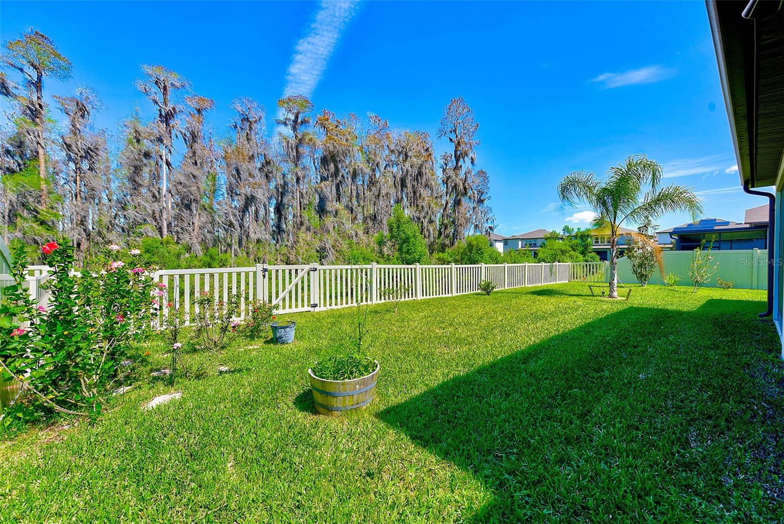11086 SUNDRIFT DR, TAMPA, FL, 33647