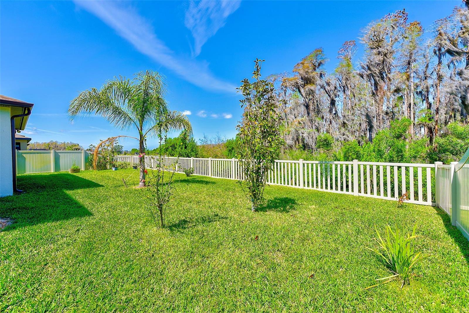 11086 SUNDRIFT DR, TAMPA, FL, 33647