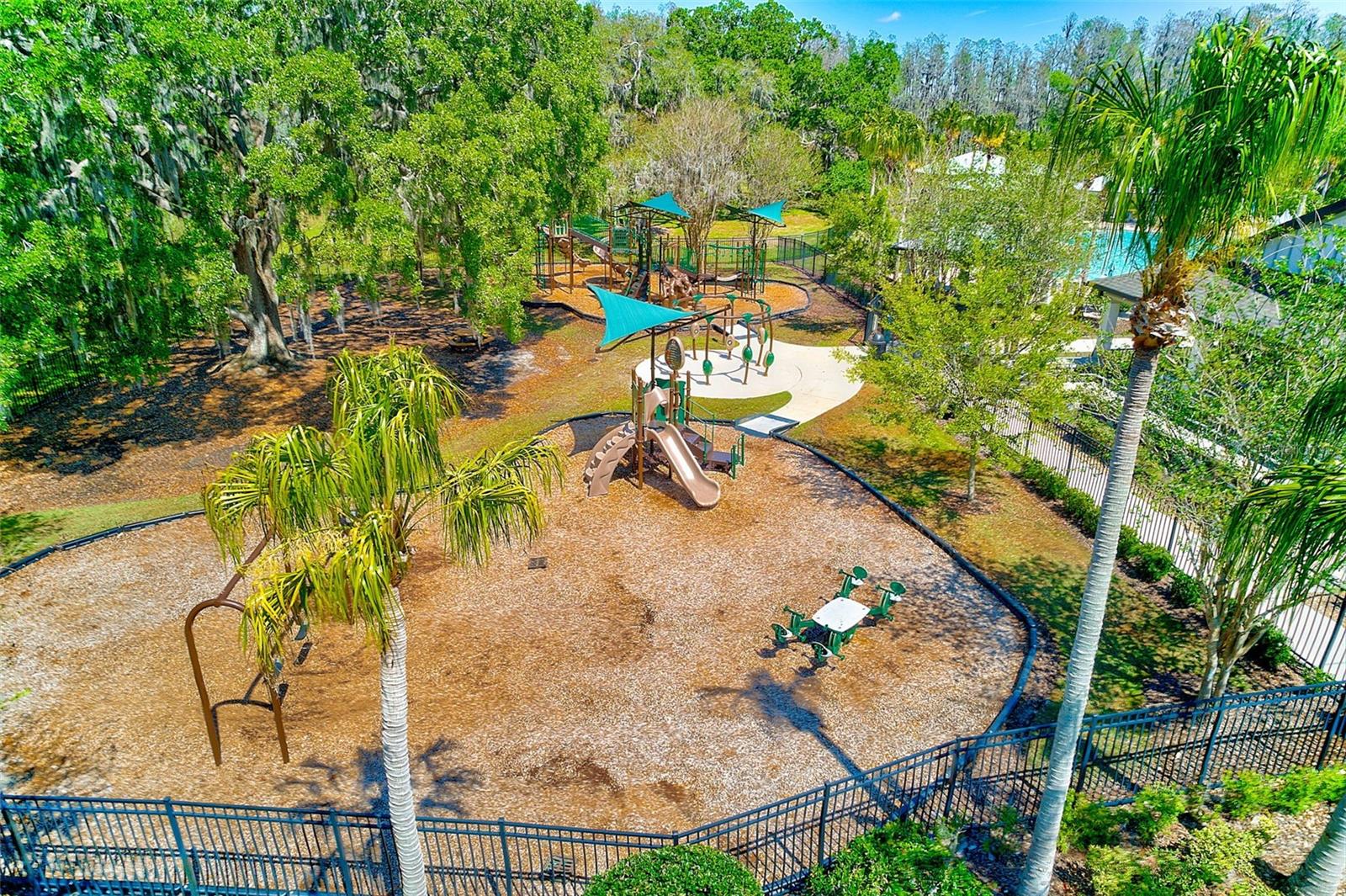 11086 SUNDRIFT DR, TAMPA, FL, 33647