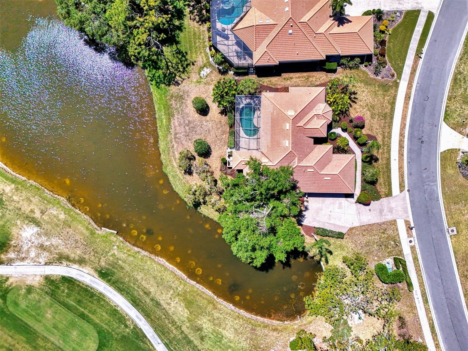 2302 BALD EAGLE LN, NOKOMIS, FL, 34275