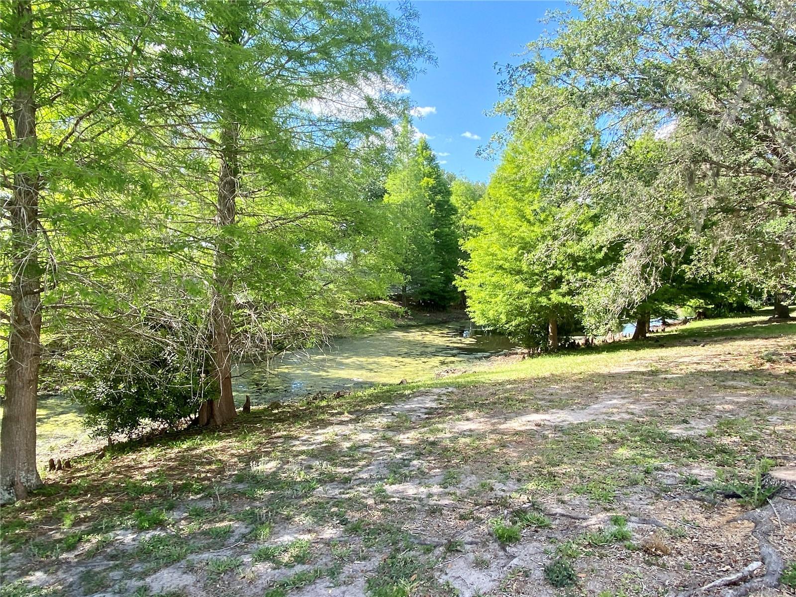 5723 AUTUMN SHIRE DR, ZEPHYRHILLS, FL, 33541