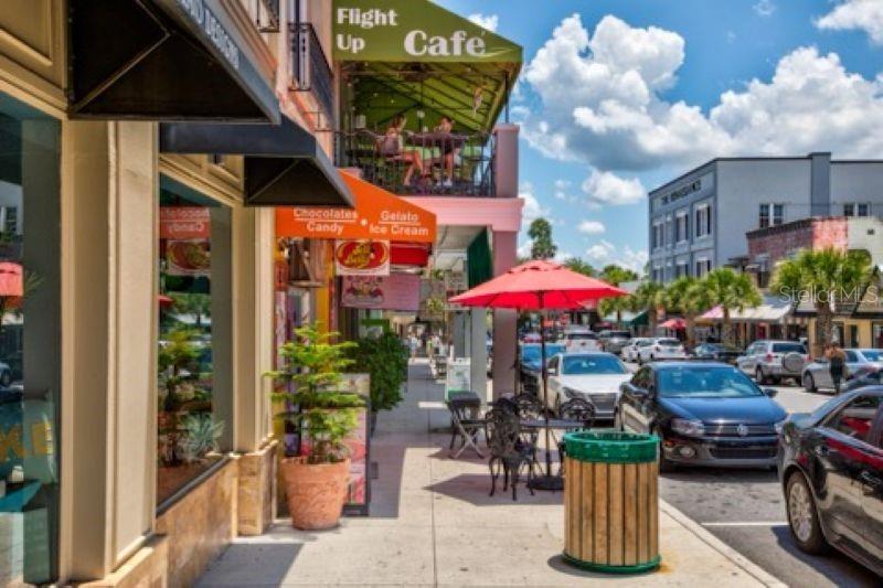 110 N TREMAIN ST #205, MOUNT DORA, FL, 32757