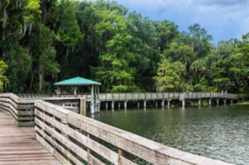 110 N TREMAIN ST #205, MOUNT DORA, FL, 32757
