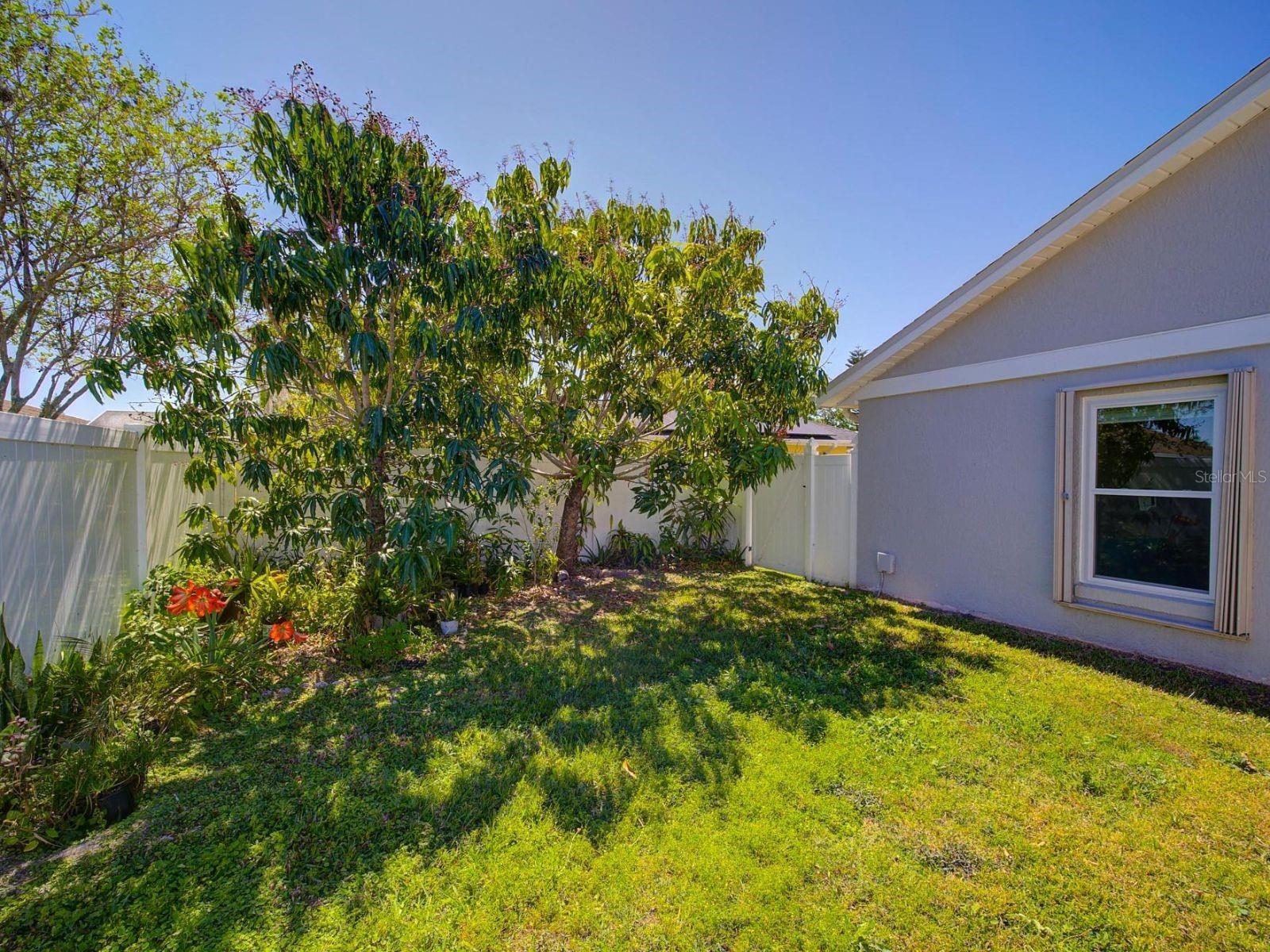 14901 WILD WOOD LILY CT, ORLANDO, FL, 32824