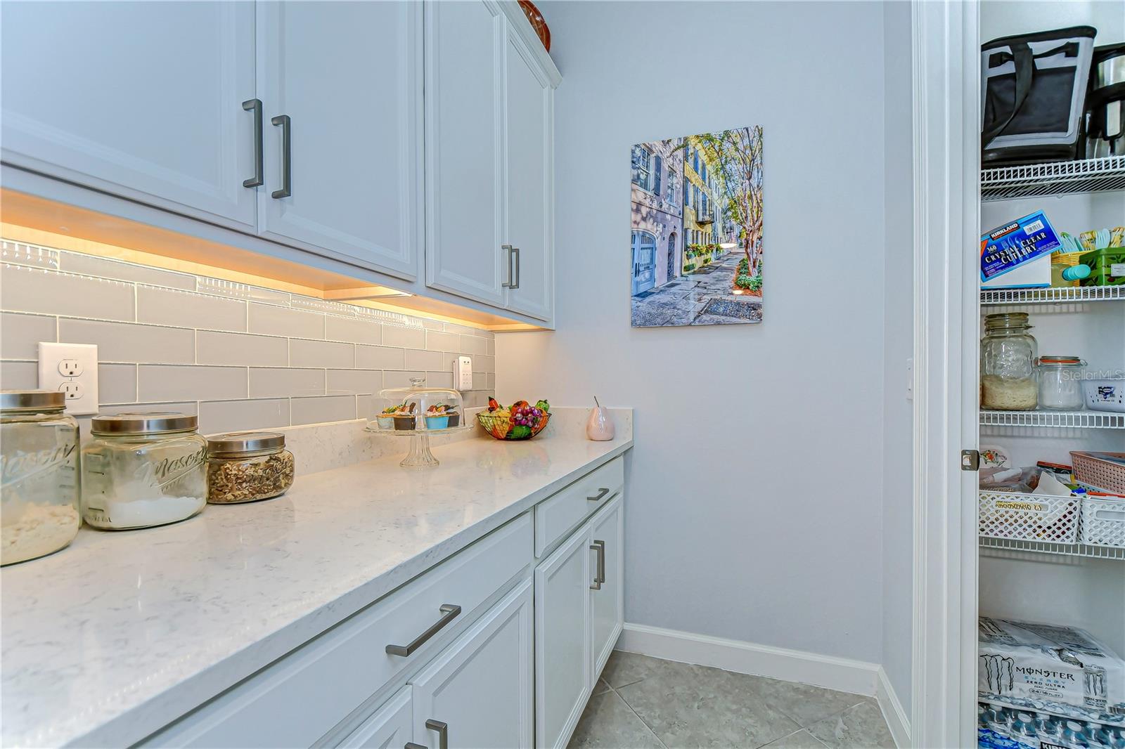 31452 CABANA RYE AVE, SAN ANTONIO, FL, 33576