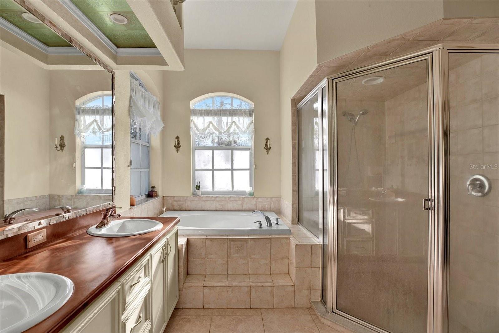 12217 TROUT CIR, SPRING HILL, FL, 34609