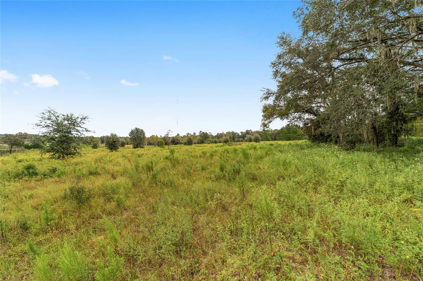 13371 US HIGHWAY 27 ALT HWY, WILLISTON, FL, 32696