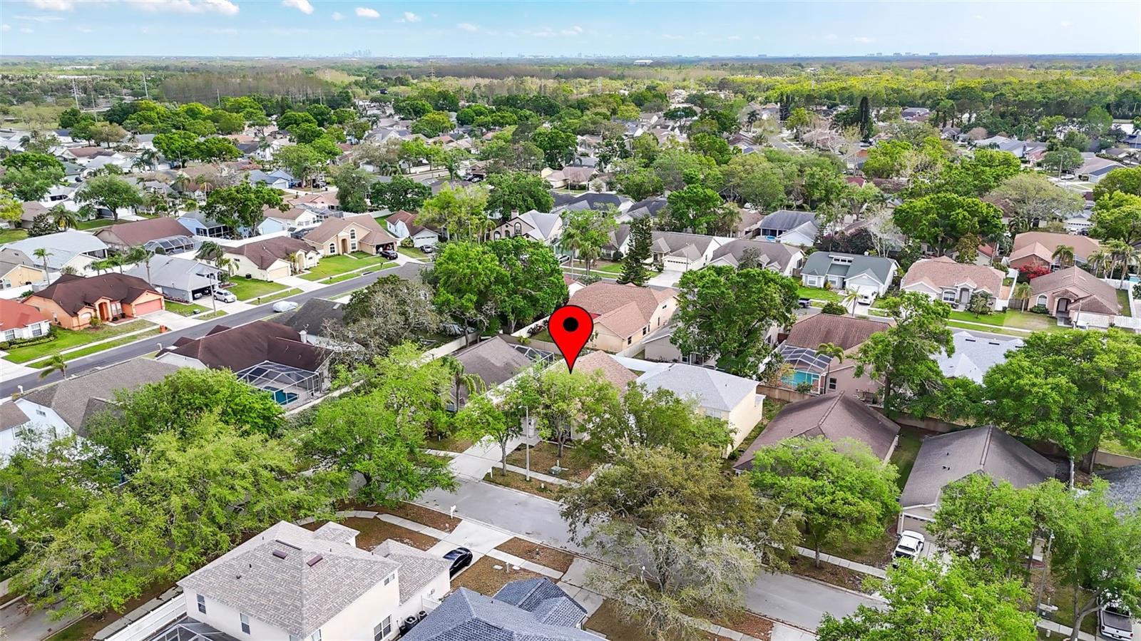 13438 WHITE ELK LOOP, TAMPA, FL, 33626