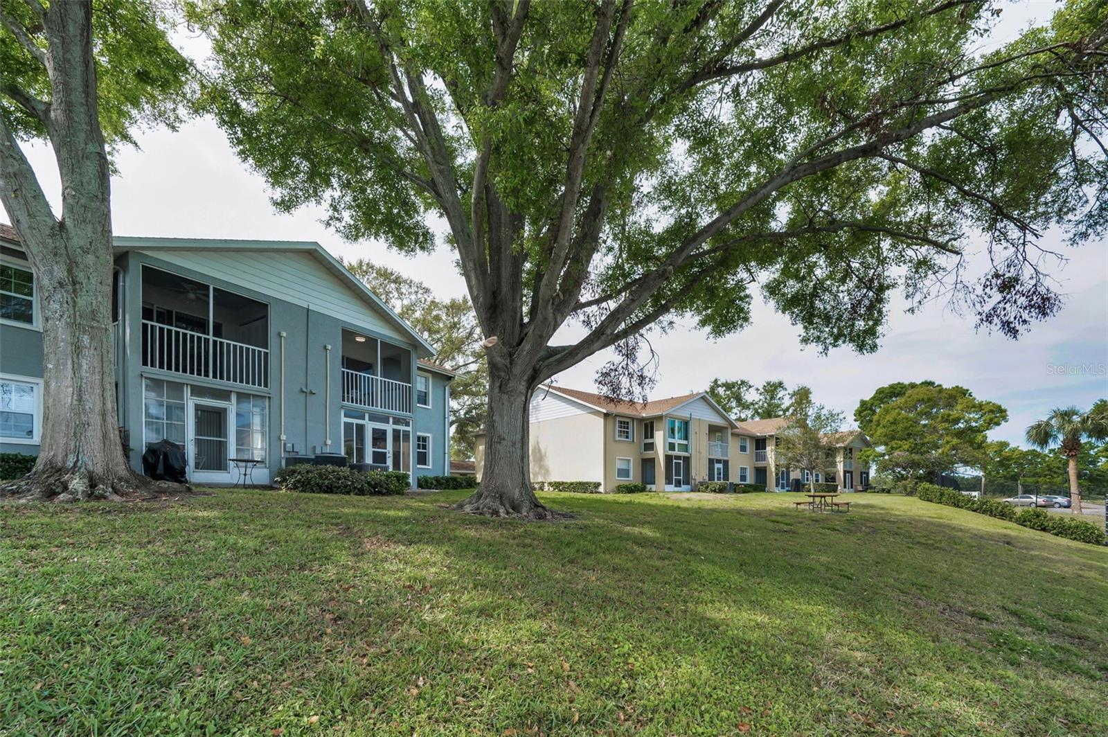 1438 MILLSTREAM LN #201, DUNEDIN, FL, 34698