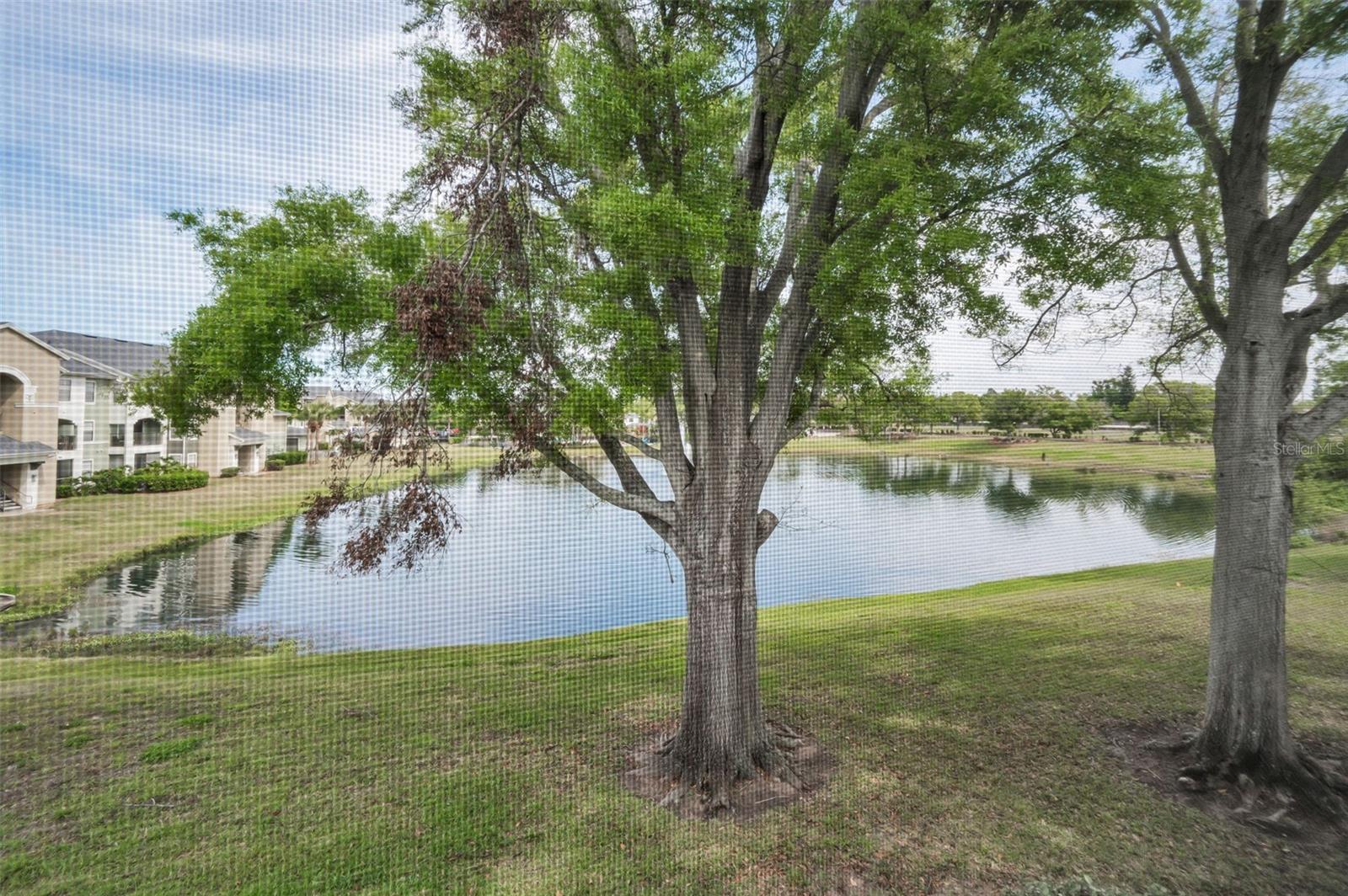 1438 MILLSTREAM LN #201, DUNEDIN, FL, 34698