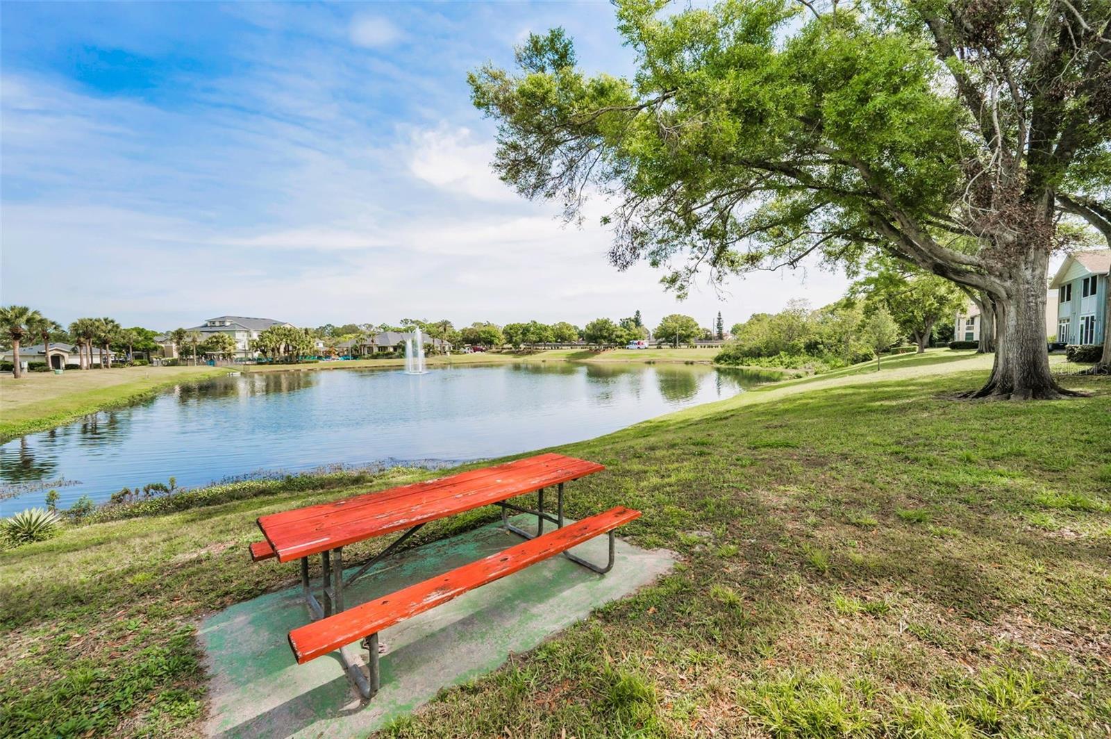 1438 MILLSTREAM LN #201, DUNEDIN, FL, 34698
