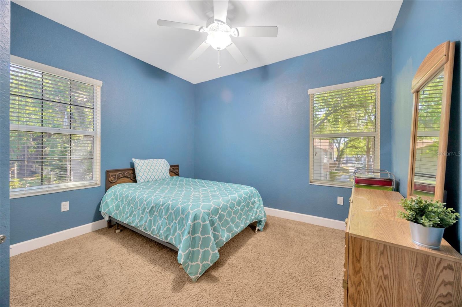 243 ALEXANDER WOODS DR, PLANT CITY, FL, 33563