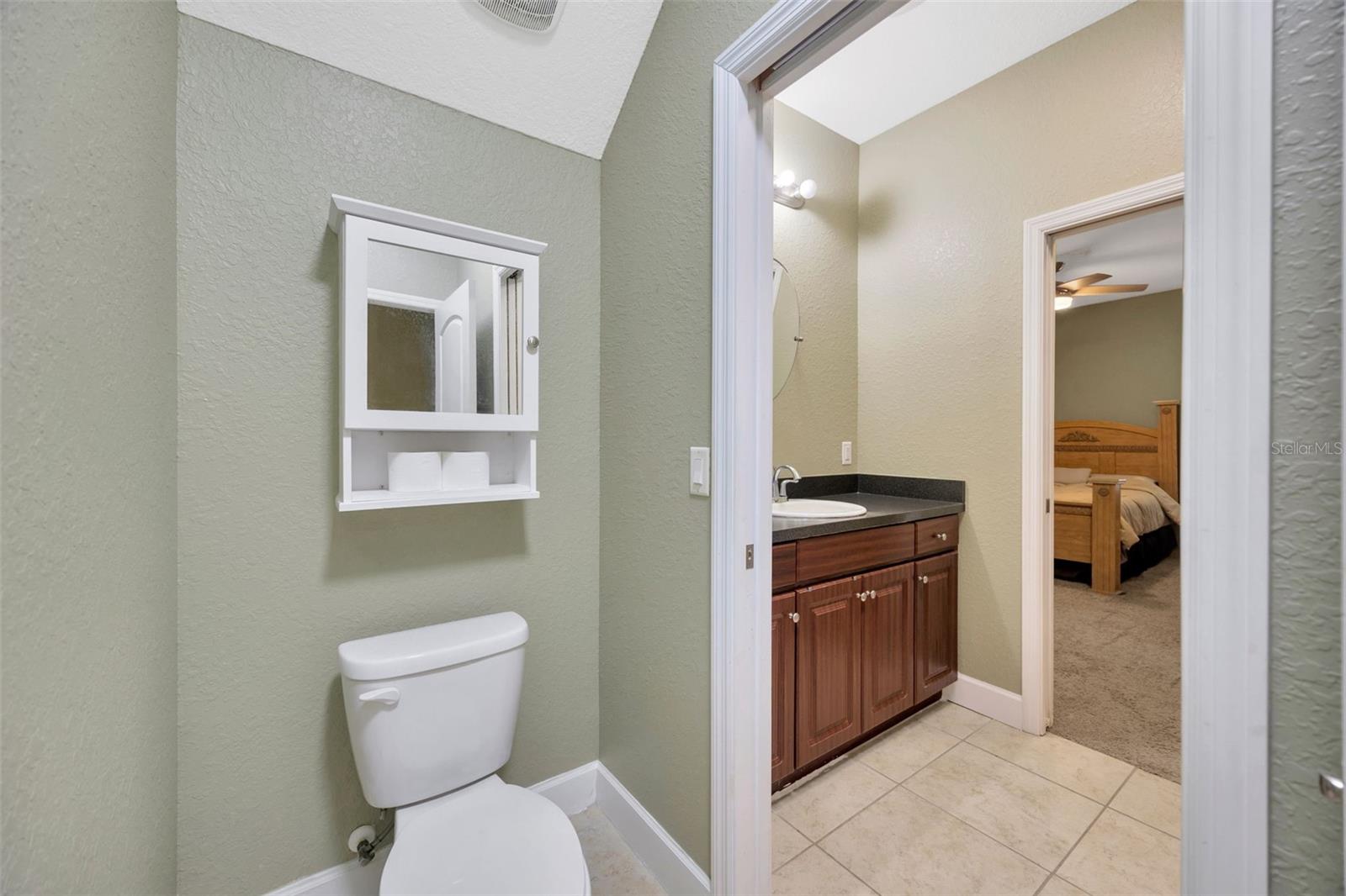 243 ALEXANDER WOODS DR, PLANT CITY, FL, 33563