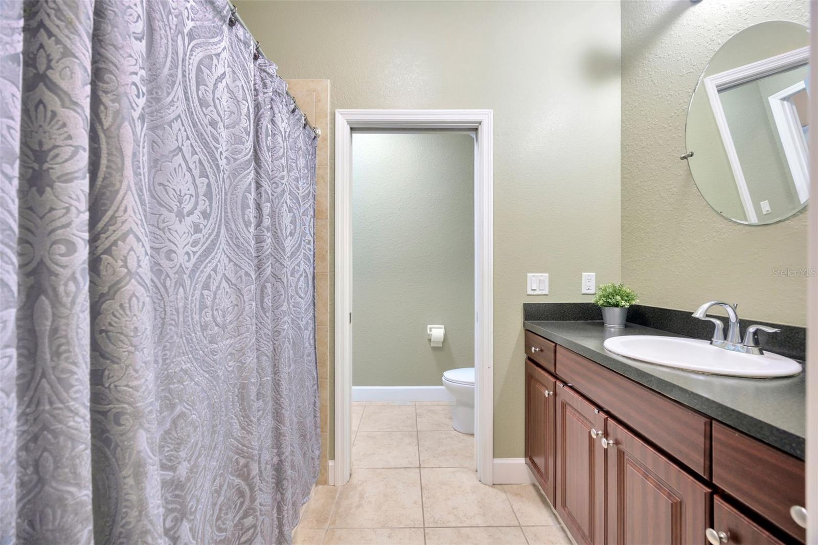 243 ALEXANDER WOODS DR, PLANT CITY, FL, 33563