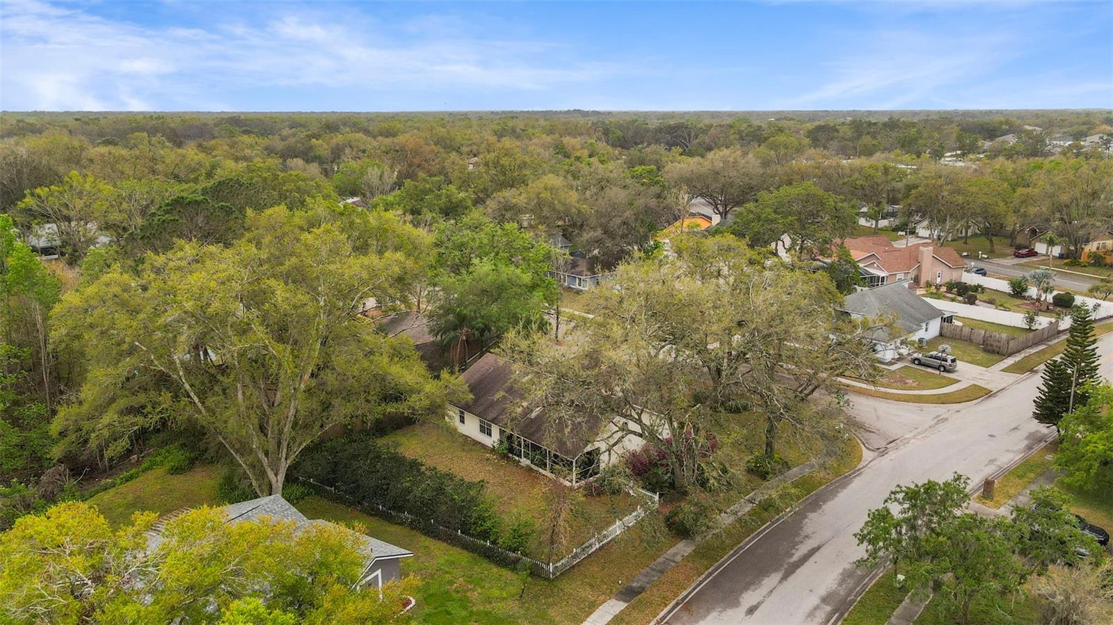 24049 LANDING DR, LUTZ, FL, 33559