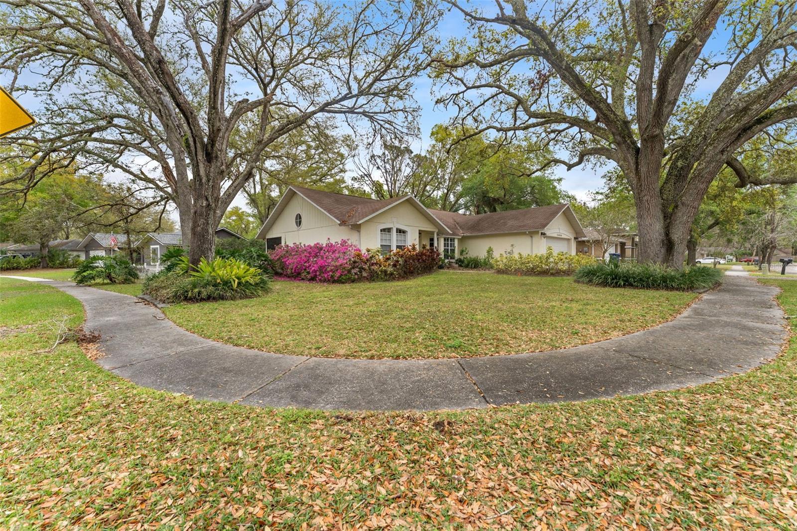 24049 LANDING DR, LUTZ, FL, 33559